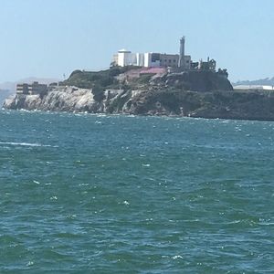 Meet your Posher, Sandy